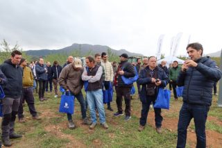 Éxito de la primera Jornada del Convenio Formativo MAPA-AEACSV sobre cubiertas vegetales en viñedos