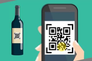 ¿Como englobar toda la información de los vinos en un código QR?