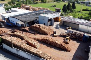 La Xunta abre la consulta pública del plan director del sector forestal-madera