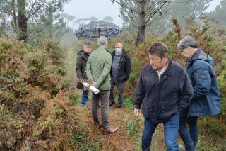 La asociación A Croa de Camariñas se convierte en una agrupación forestal de gestión conjunta