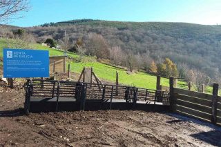 La aldea modelo de Fisteus, en Quiroga, lista para poner en marcha una ganadería de Porco Celta en extensivo