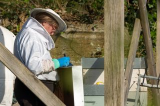 Últimas plazas para curso de apicultura en Cambre