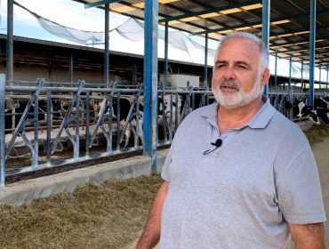“Los ganaderos deberían tomar la decisión de autolimitar la producción para evitar que los precios caigan en primavera”