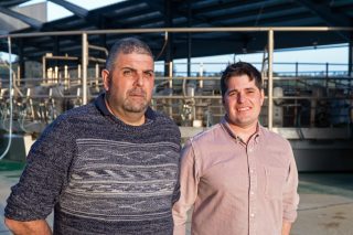 Claves para lograr un buen silo de leguminosas en Galicia