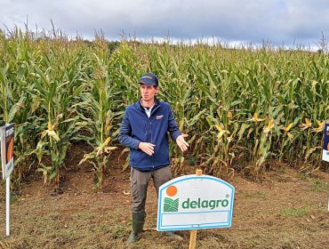 Juan Pablo Gnata: “ Cosechar el maíz forrajero en el momento ideal es clave para tener un ensilado de calidad”