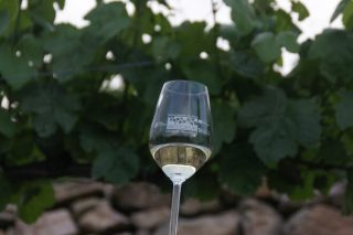Gran éxito de los vinos de la DO. Valdeorras en la ‘Guía Paadín 2024’