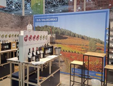 27 vinos de la D.O. Valdeorras participan en Alemania en la feria Prowein 2024, un referente en Europa