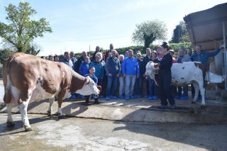 Ganaderos austríacos visitan Galicia para conocer su sector lácteo