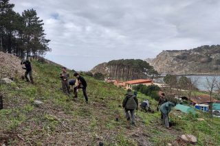 Formación de los alumnos del Centro Agroforestal de Lourizán en las islas Cíes