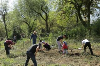 Jornadas de voluntariado en el Barbanza para eliminar acacias y plantar frondosas