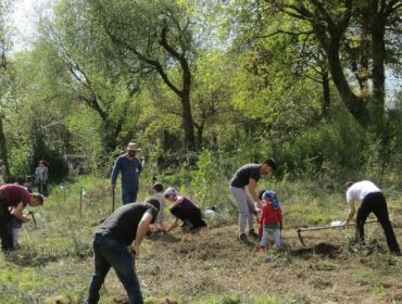 Jornadas de voluntariado en el Barbanza para eliminar acacias y plantar frondosas