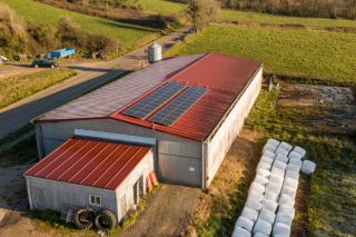 ¿Es urgente invertir en energía fotovoltaica en una explotación ganadera?