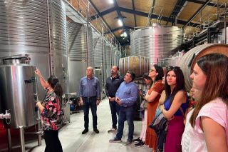 'Primavera de puertas abiertas' en las bodegas de las Rutas del Vino de Galicia