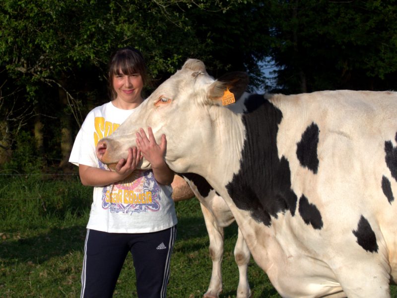 “Hoy tenemos un grave problema en las ganaderías lácteas: eliminamos muchas vacas porque no empreñan”