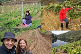 El renacer de la viticultura en las riberas del Navia: Experiencias de 3 nuevos productores