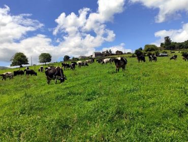 ‘El modelo europeo de producción láctea: garantía para el consumidor’