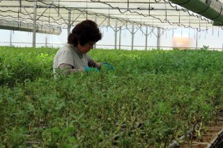 Navigator consolida un camino de innovación desde el monte hasta el producto final